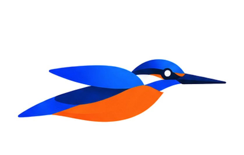 NexWare ijsvogel die horizontaal glijdt — symbool voor één gedeeld technisch platform